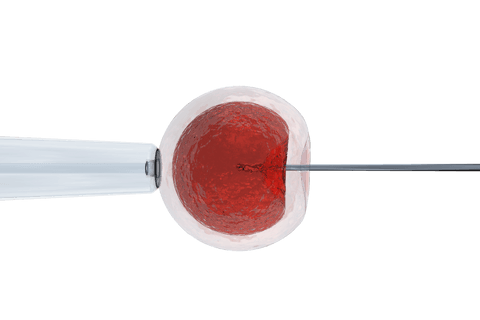 transparent cell injection process in scientific illustration - Download Free Stock Videos Pikwizard.com