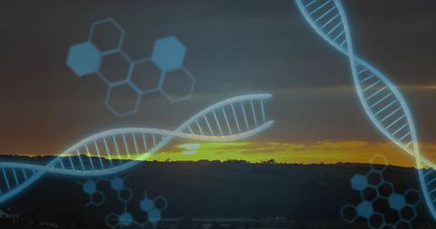 Glowing DNA Helix Overlaying Rural Sunset Landscape with Molecular Hexagon Elements