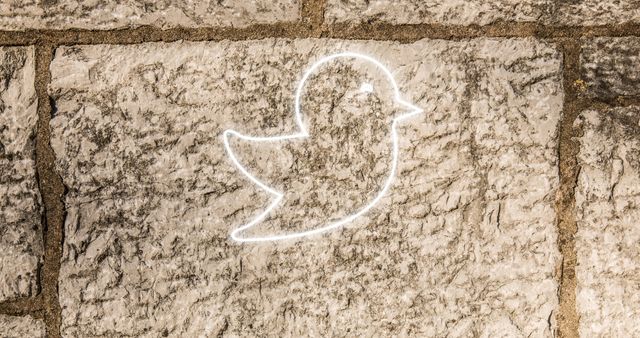 Glowing Neon Bird Icon on Brick Wall - Social Media Theme - Download Free Stock Images Pikwizard.com