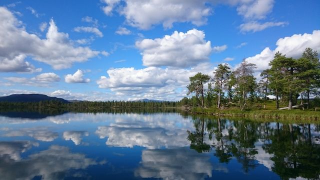 A tranquil lake reflects the cloudy sky, surrounded by a forest. Ideal for outdoor articles, inspirational quotes, travel blogs, or relaxation-themed content.