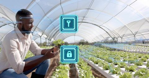 Technician Uses Holographic Interface in Greenhouse for Smart Farming