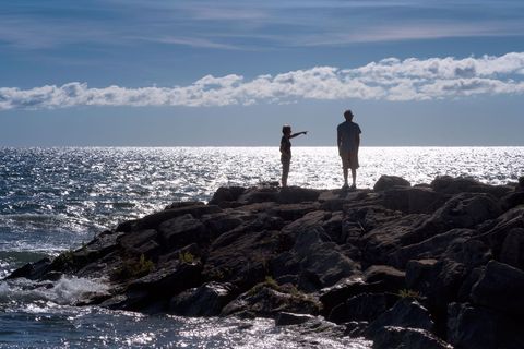 Silhouette of Family Watching Ocean on Rocky Coast