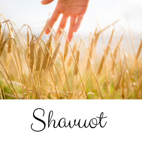 caucasian hand gently touching golden wheat on shavuot celebration - Download Free Stock Templates Pikwizard.com