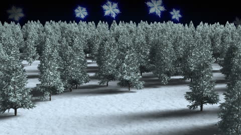 Snow Falling on Winter Forest with Pine Trees