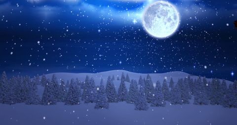 Winter Wonderland with Full Moon and Falling Snowflakes
