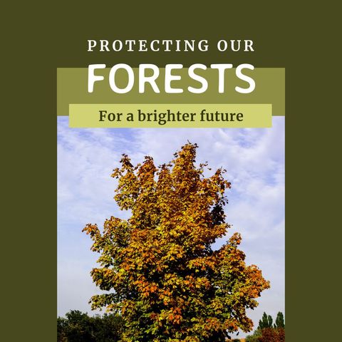 Autumn Tree with Conservation Message in Forest Setting - Download Free Stock Templates Pikwizard.com