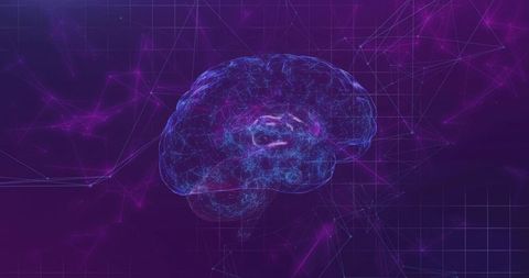 Futuristic Holographic Brain in Digital Network