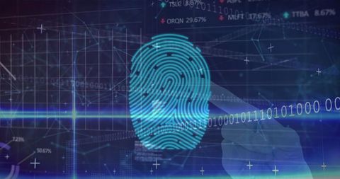 Digital Fingerprint on Virtual Interface Concept for Cybersecurity