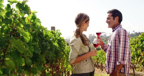 Happy Couple Enjoying Red Wine in Vineyard - Download Free Stock Images Pikwizard.com