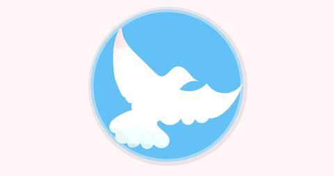 Peaceful White Dove Inside Blue Circle Logo Icon - Download Free Stock Images Pikwizard.com