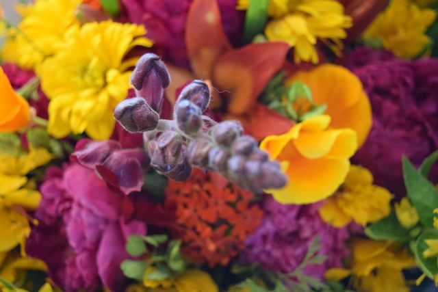 Close-Up of Colorful Flower Bouquet with Purple and Yellow Blooms - Download Free Stock Photos Pikwizard.com
