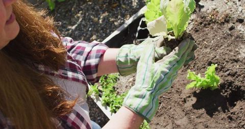 Woman in Plaid Shirt Engaging in Home Gardening with Gloves