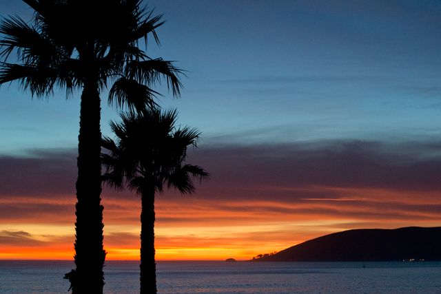 Palm trees silhouetted against dramatic evening sky, with coastline and ocean in background. Ideal for use in travel advertisements, vacation brochures, or backgrounds for tropical-themed websites and digital graphics.