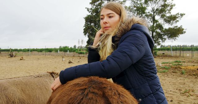 Woman with Blonde Hair Petting Animal on Farm - Download Free Stock Images Pikwizard.com