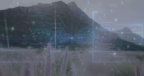 Futuristic holographic network over remote grassland landscape