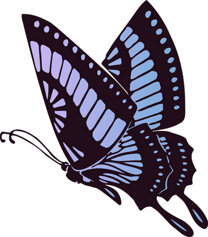 stylized butterfly with pastel purple patterns on transparent canvas - Download Free Stock Videos Pikwizard.com