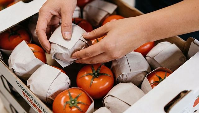 Hands wrapping fresh tomatoes in paper at market crate for sustainable packaging