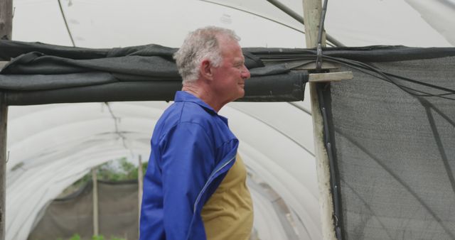 Senior Man in Greenhouse, Wearing Blue Jacket - Download Free Stock Images Pikwizard.com