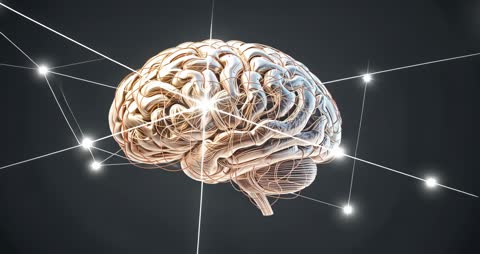 3D Brain Model with Neural Network Pulsations in Dark Studio