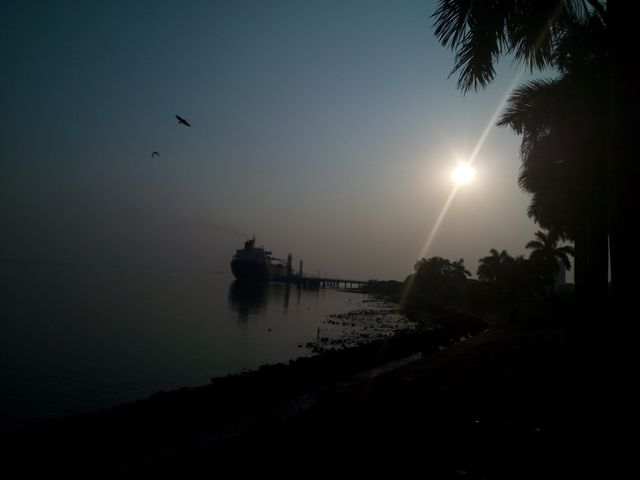 Serene Sunrise at Harbor with Docks and Birds - Download Free Stock Images Pikwizard.com