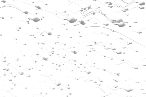 transparent swimming sperm cells movement - Download Free Stock Videos Pikwizard.com