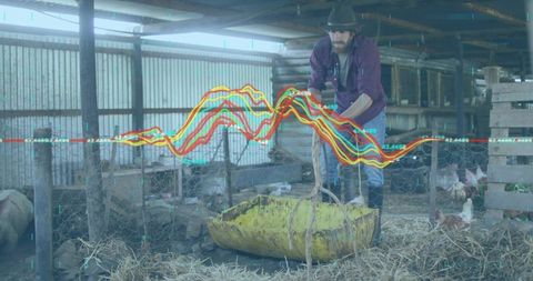 Bearded farmer lifting yellow feed trough in barn with overlaid agricultural data graph
