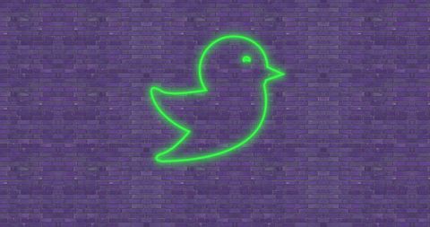 Neon bird icon glowing on purple brick wall