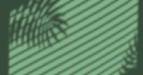 Abstract Leaf Shadow on Blinds Over Green Background - Download Free Stock Images Pikwizard.com