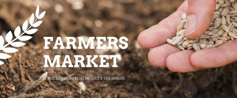 Hand sowing seeds signifying growth in sustainable farming