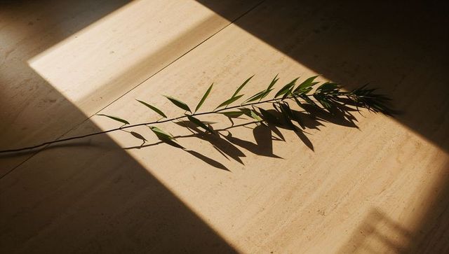 Sunlight casting bamboo branch shadows across warm travertine floor, minimal diagonal