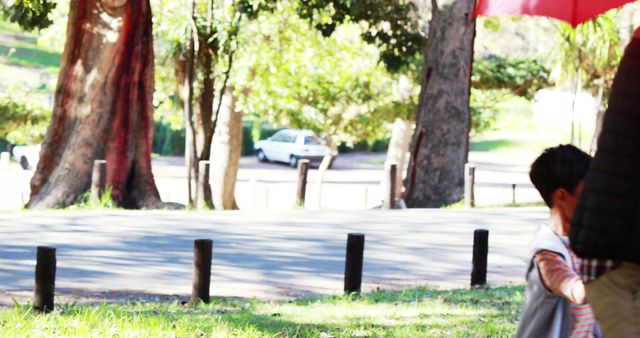 Sunny Day in Park with Trees and Passing Car - Download Free Stock Images Pikwizard.com