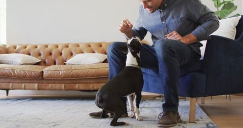 Man engaging in dog training at home in cozy setting