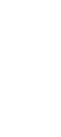 Silhouette of Woman in Business Dress on Transparent Background