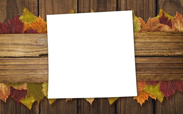 Blank Transparent Page on Rustic Wooden Background with Autumn Leaves - Download Free Stock Videos Pikwizard.com