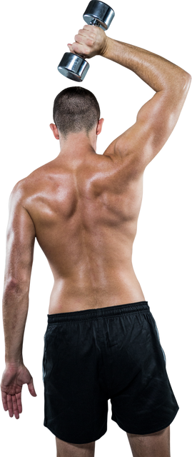 Transparent Rear View of Shirtless Athlete Exercising with Dumbbell - Download Free Stock Videos Pikwizard.com