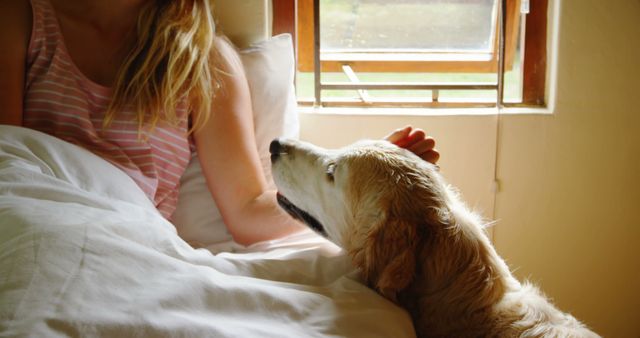 This image depicts a young woman sitting in bed with a golden retriever. Sunlight streams in through the window, creating a warm and cozy atmosphere as the woman lovingly pets her dog. This photo can be used for themes related to morning routines, pet companionship, relaxation, and cozy home environments.