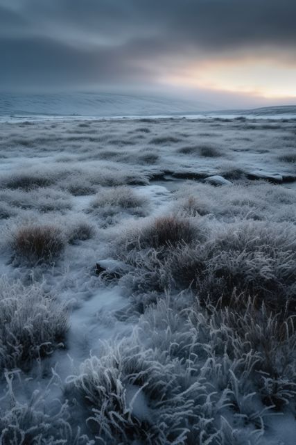 Snow-covered tundra at dawn with frosted vegetation and dramatic sky is showcasing the serene and peaceful beauty of winter's wilderness. This landscape is excellent for use in nature documentaries, travel magazines, winter-themed projects, or backgrounds portraying solitude and remoteness.