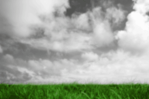 Transparent Sky with Green Grass Featuring Clouds Nature Concept - Download Free Stock Videos Pikwizard.com