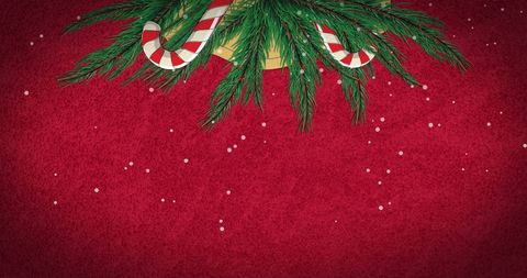 Festive christmas background with candy canes and fir branches