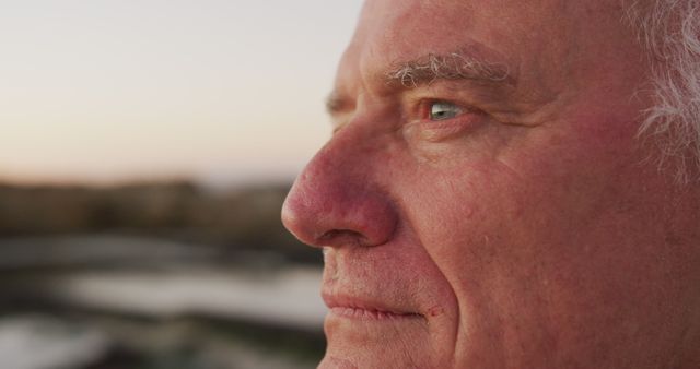 Elderly Man Deep in Thought Gazing at Sunset Horizon - Download Free Stock Images Pikwizard.com