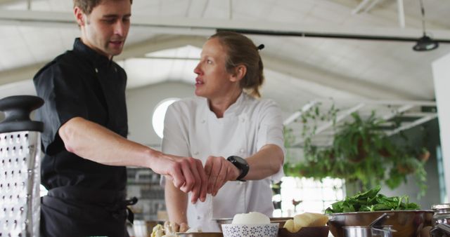 Chefs Collaborating in Modern Industrial Kitchen - Download Free Stock Images Pikwizard.com