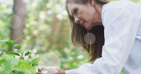 Senior Female Scientist Examining Plants in Garden