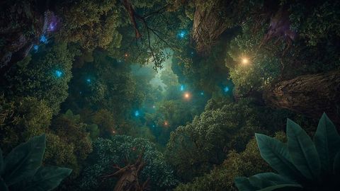 Mystical forest canopy with glowing orbs