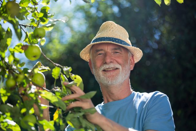 Portrait of senior man checking fruit in the garden on a sunny day