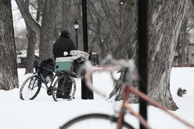 Person walking with bicycle in a snow-covered park with tall trees, indicating cold winter weather and solitude. Ideal for blog posts about winter activities, city life in winter, and seasonal outdoor photography.