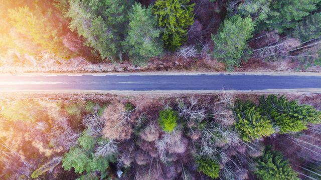 This aerial view captures an asphalt road cutting through a dense forest with sun rays illuminating the scene. Ideal for travel websites, nature blogs, environmental campaigns, and scenic landscape promotions, showcasing the blend of man-made infrastructure with natural beauty.