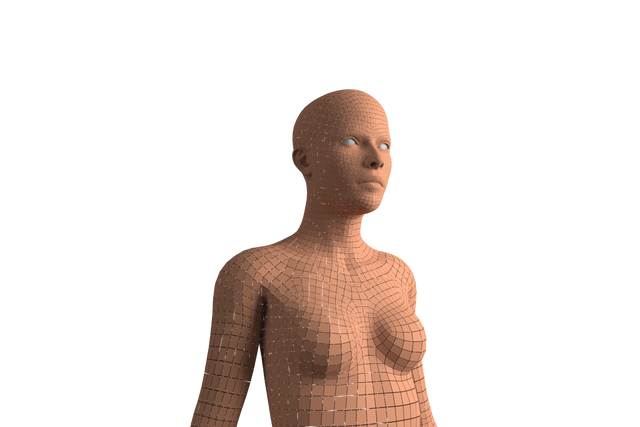 Digital Illustration of Human Model on Transparent Background - Download Free Stock Videos Pikwizard.com