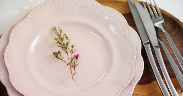 A sprig of herbs and a tiny pink flower are delicately placed on a pastel pink plate, accompanied by a set of silver cutlery on a wooden board, with copy space. It suggests a focus on minimalist table setting or the concept of portion control and dieting.