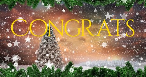 Festive Winter Celebration with Pine Scene - Download Free Stock Images Pikwizard.com