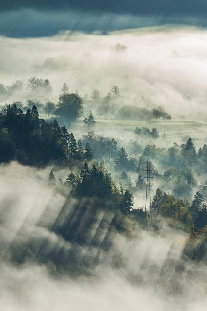 Misty forest hills and valleys covered in a soft fog at sunrise. Ideal for use in projects requiring serene and atmospheric nature scenes, like travel brochures, posters, or websites focusing on outdoor activities and natural beauty.